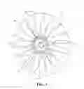 Fig. 03 - Fan blades with protective sheaths and galvanic shields