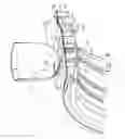 Fig. 10 - Gas turbine engine spring mounted manifold