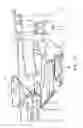 Fig. 18 - Method and apparatus for handling pre-diffuser airflow for cooling high pressure turbine components