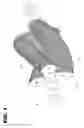 Fig. 02 - Low inertia laminated rotor