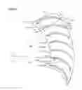 Fig. 45 - Fan, molding die, and fluid feeder