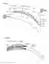 Fig. 46 - Fan, molding die, and fluid feeder