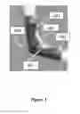 Fig. 06 - Pneumatic insect robots