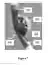 Fig. 07 - Pneumatic insect robots
