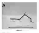 Fig. 13 - Pneumatic insect robots