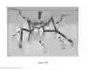 Fig. 20 - Pneumatic insect robots