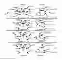 Fig. 29 - Pneumatic insect robots