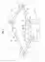 Fig. 08 - Two-dimensional movement closed-link structure