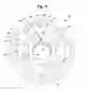 Fig. 11 - Multi-mode clutches for forward/reverse planetary gearset