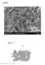 Fig. 05 - HEAT-INSULATING MOLDED ARTICLE AND PRODUCTION METHOD FOR SAME