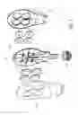 Fig. 02 - Flat lighting device