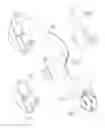 Fig. 03 - Multiple functions LED night light