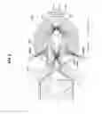 Fig. 03 - Lighting apparatus for vehicle