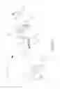 Fig. 04 - Ornamental Article Having Effects of Transparency or Opacity