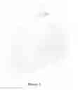 Fig. 02 - HIGH INTENSITY STUDIO LAMP AND METHOD USING A PLASMA SOURCE