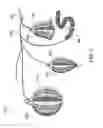 Fig. 06 - Electroluminescent ornaments and display systems