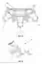 Fig. 09 - SUPPORT BASE FOR LIGHT FITTINGS