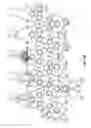 Fig. 24 - LED light