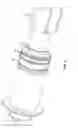 Fig. 05 - Gas operating system for small arms with spring loaded gas valve