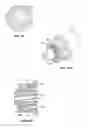 Fig. 10 - Gas operating system for small arms with spring loaded gas valve