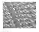 Fig. 06 - Textile made from chains and process for its manufacture