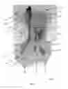 Fig. 03 - PLATE CARRIER AND A PROTECTIVE VEST