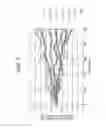 Fig. 08 - Optical fiber temperature distribution measuring device