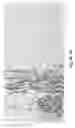 Fig. 08 - Simultaneous dehydration and staining of tissue for deep imaging