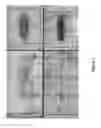Fig. 03 - Novel Methods of Tissue Processing and Imaging