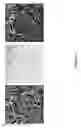 Fig. 05 - Novel Methods of Tissue Processing and Imaging