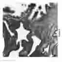 Fig. 06 - Novel Methods of Tissue Processing and Imaging