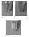 Fig. 10 - Novel Methods of Tissue Processing and Imaging