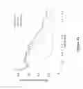 Fig. 14 - Novel Methods of Tissue Processing and Imaging