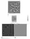 Fig. 15 - Novel Methods of Tissue Processing and Imaging