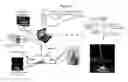 Fig. 07 - Time-resolved laser-induced fluorescence spectroscopy systems and uses thereof