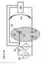 Fig. 47 - Methods for generating pH/ionic concentration gradient near electrode surfaces for modulating biomolecular interactions, and bubble detection using electrodes