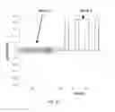 Fig. 03 - Methods of using information from recovery pulses in electrochemical analyte measurements as well as devices, apparatuses and systems incorporating the same