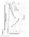 Fig. 12 - Methods for generating pH/ionic concentration gradient near electrode surfaces for modulating biomolecular interactions