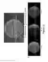 Fig. 13 - Methods for generating pH/ionic concentration gradient near electrode surfaces for modulating biomolecular interactions