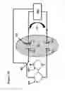 Fig. 49 - Methods for generating pH/ionic concentration gradient near electrode surfaces for modulating biomolecular interactions