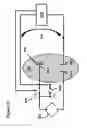 Fig. 52 - Methods for generating pH/ionic concentration gradient near electrode surfaces for modulating biomolecular interactions