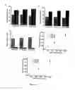 Fig. 20 - Device and method for the detection of target entities