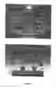 Fig. 31 - Device and method for the detection of target entities