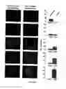 Fig. 37 - Device and method for the detection of target entities