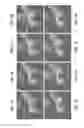 Fig. 03 - APPARATUSES AND METHODS FOR DETERMINING ANALYTE CHARGE