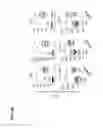Fig. 08 - TLR8 TRANSGENIC ANIMALS