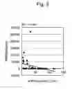 Fig. 04 - Method for estimating GFR (glomerular filtration rate) from measured value of megalin in urine