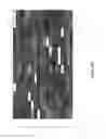 Fig. 50 - Methods, systems, and arrays for biomolecular analysis