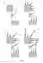 Fig. 10 - Rapid and sensitive analyte measurement assay