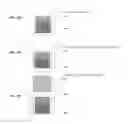 Fig. 32 - SYSTEMS AND METHODS FOR MULTI-ANALYSIS